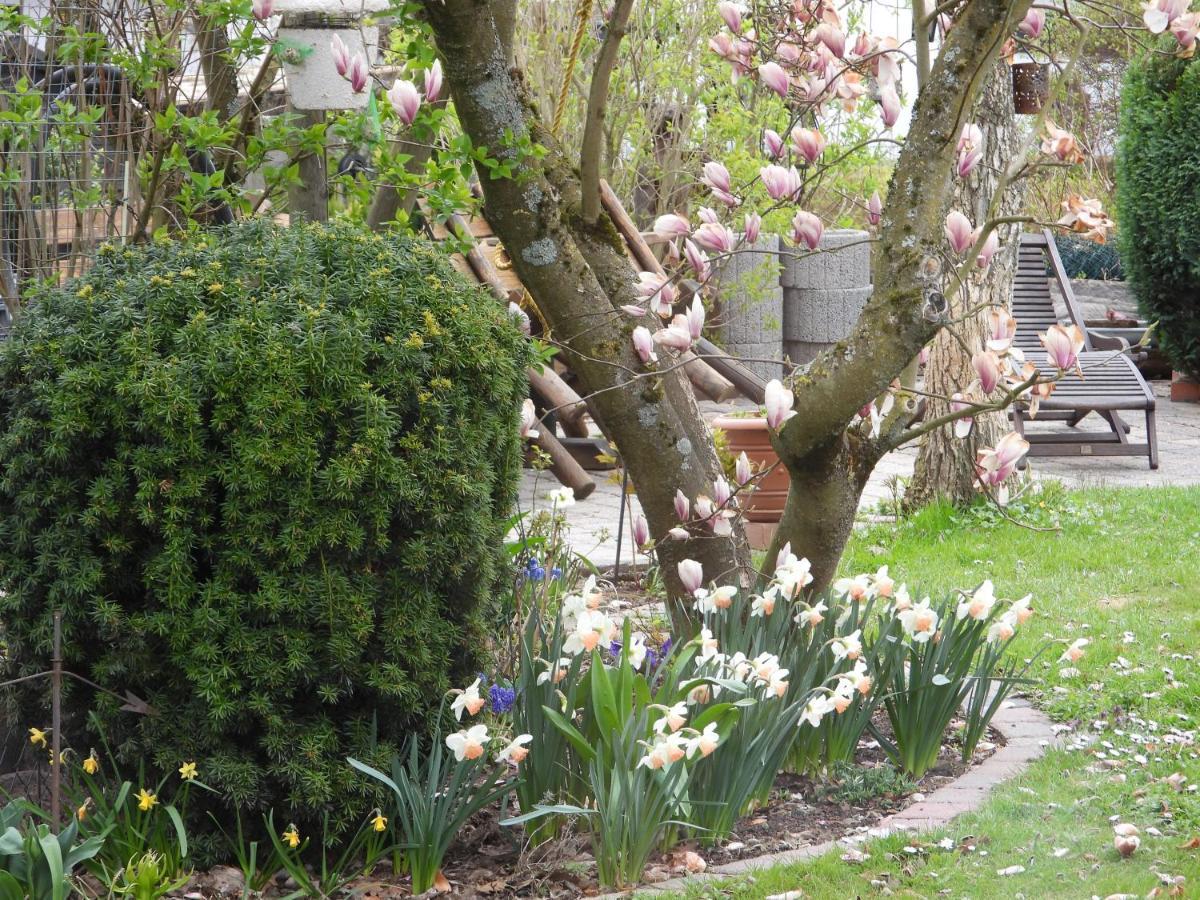 Ferienwohnung "Off Born" Familie Bremm Zell an der Mosel Exterior photo